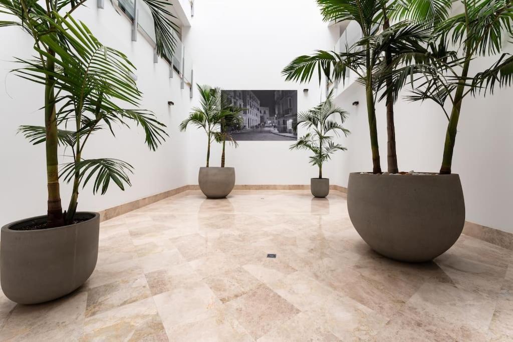 Premium Flat In Malaga Center With Free Parking Lägenhet Exteriör bild